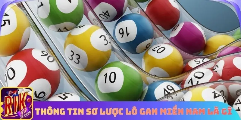 Thông tin sơ lược Lô gan miền nam là gì